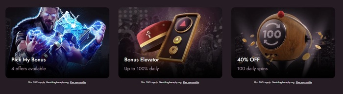 Mr Fortune bonus